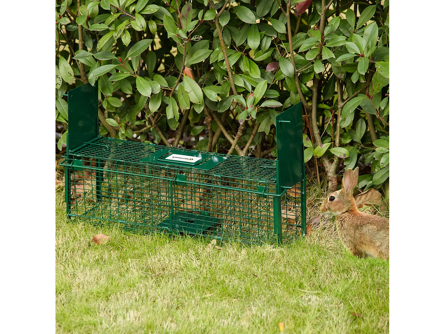 Gabbia trappola per animali vivi piccoli con doppia porta 60x18x20cm