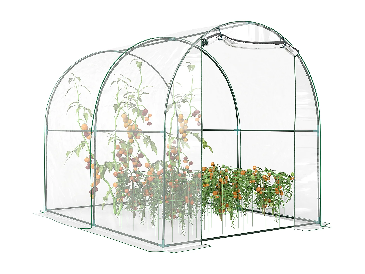 Serra a tunnel con porta avvolgibile e copertura in plastica