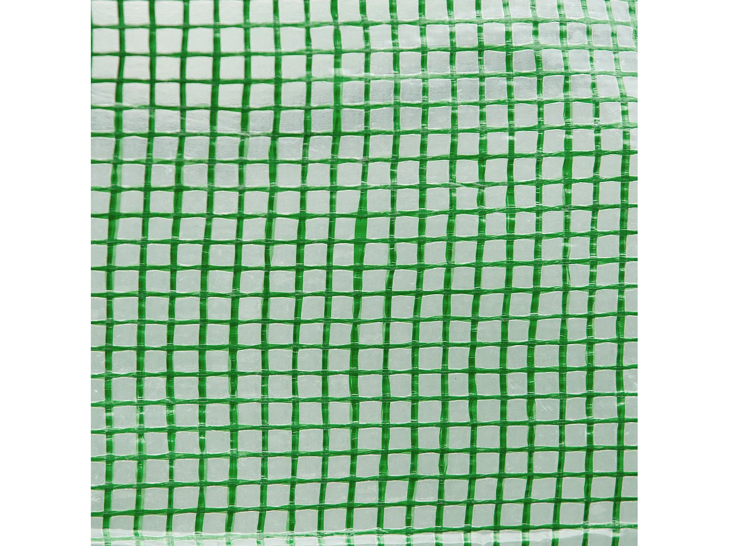 Serra a tunnel 3x3x2m con porta avvolgibile e 4 finestre