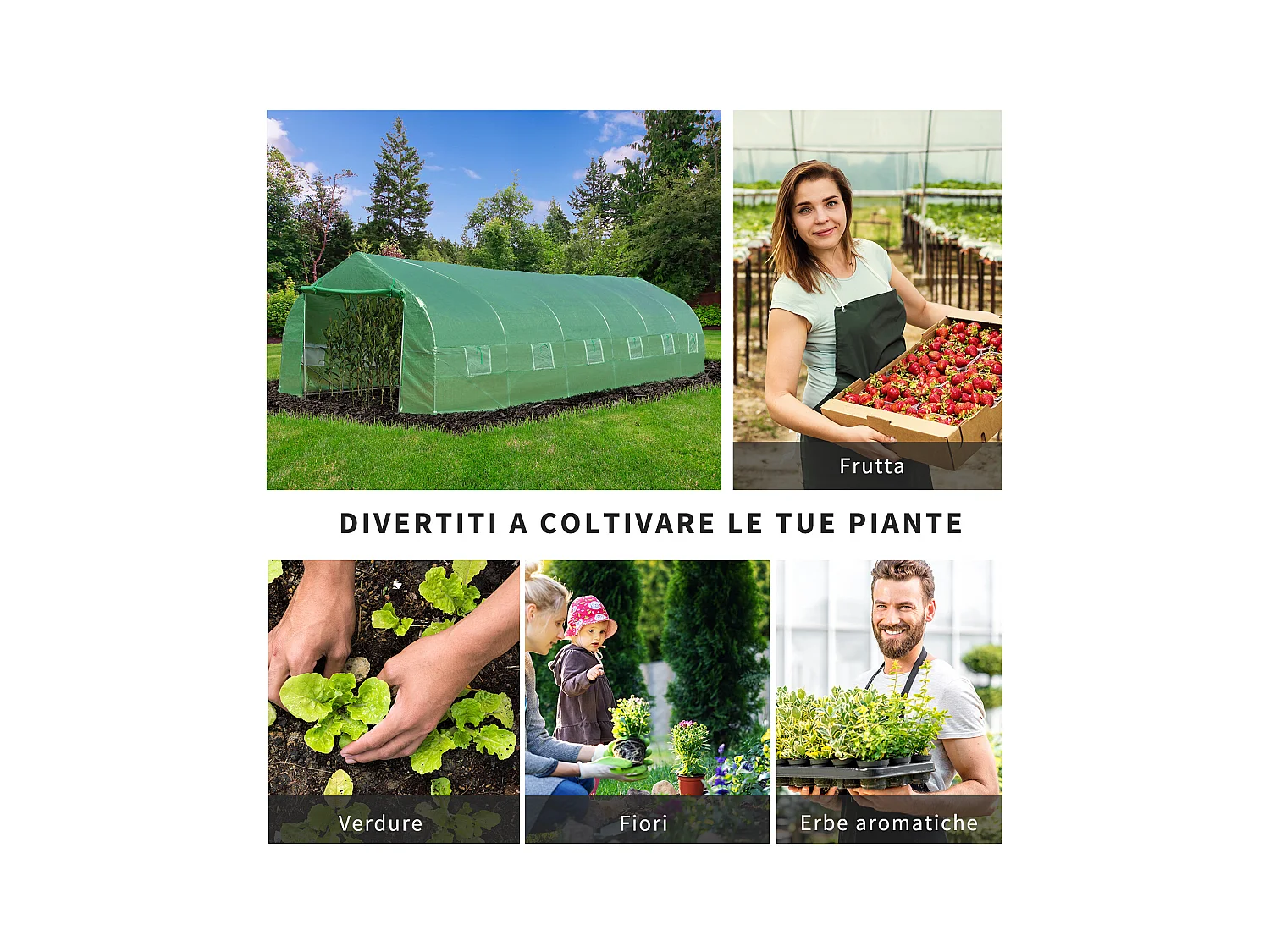 Serra per orto a tunnel 8x3x2m in pe con porta e finestre