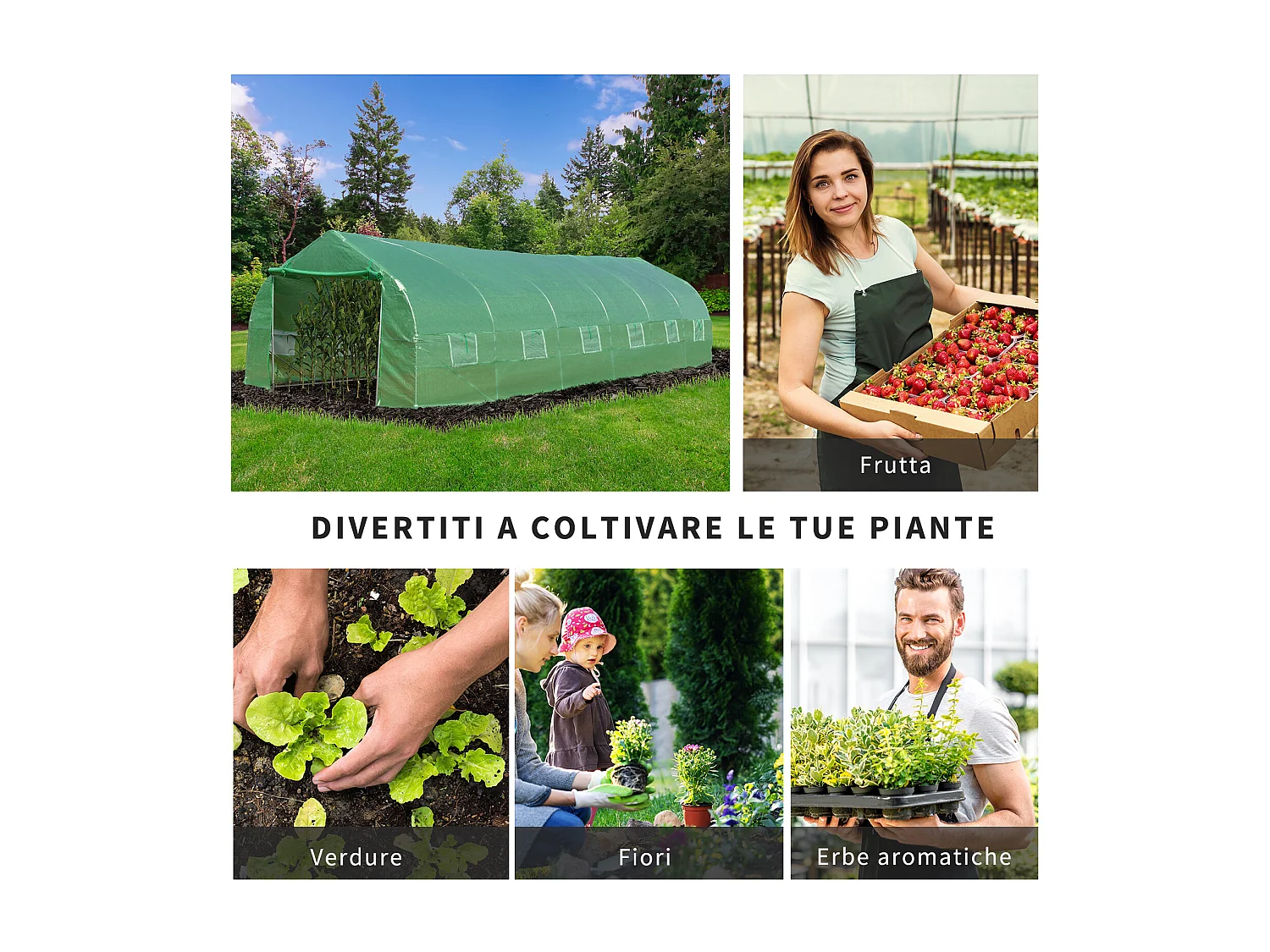 Serra per orto a tunnel 8x3x2m in pe con porta e finestre