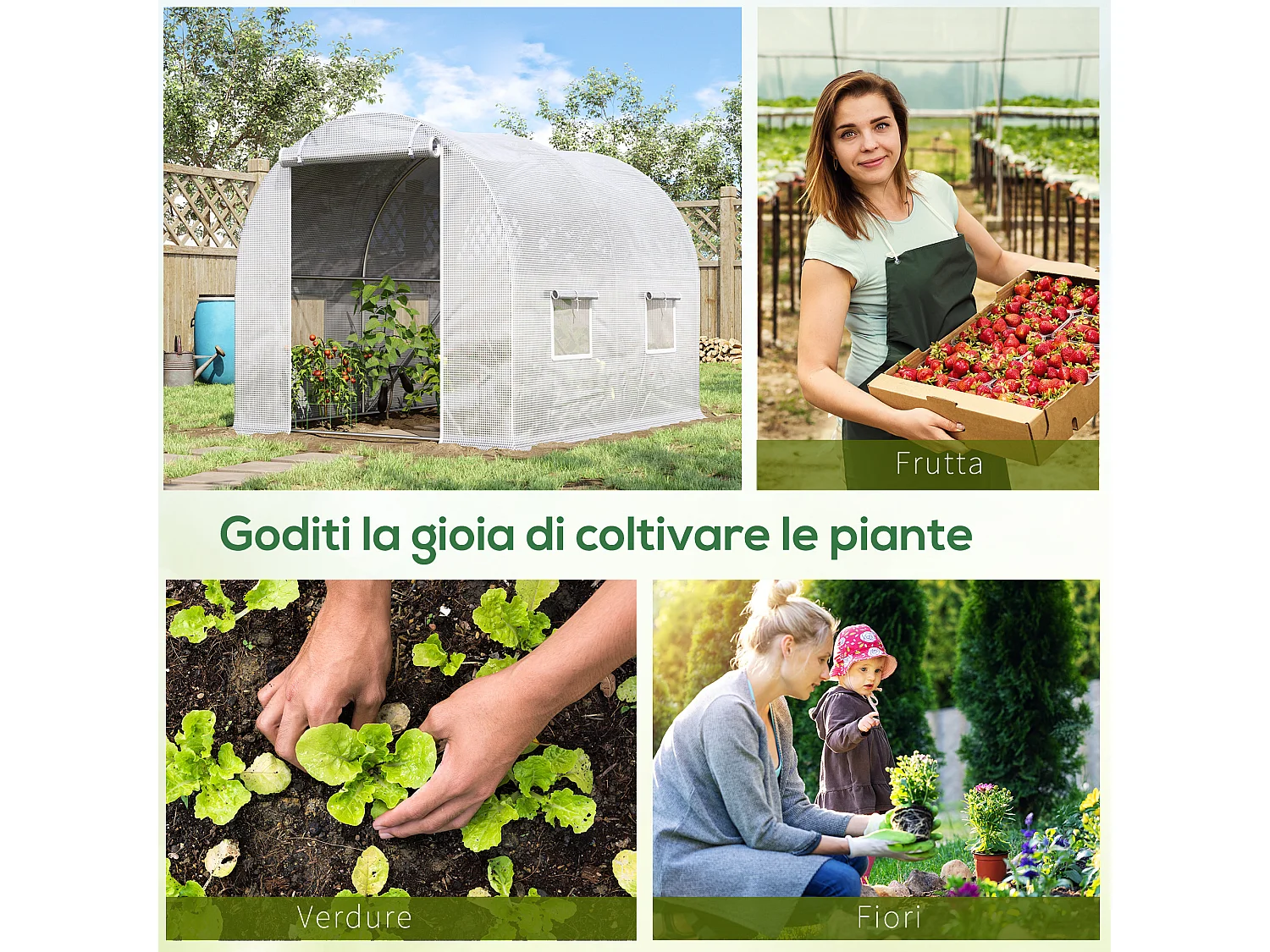 Serra a tunnel con 4 finestre in acciaio zincato e polietilene bianco