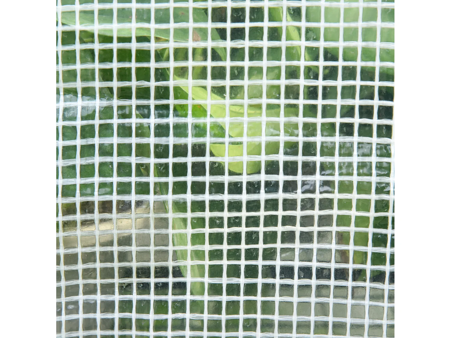 Serra a tunnel con 4 finestre in acciaio zincato e polietilene bianco