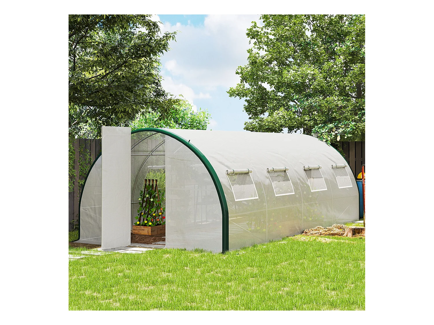 Serra a tunnel 6x3m con 2 porte a cerniera e 8 finestre bianco e verde