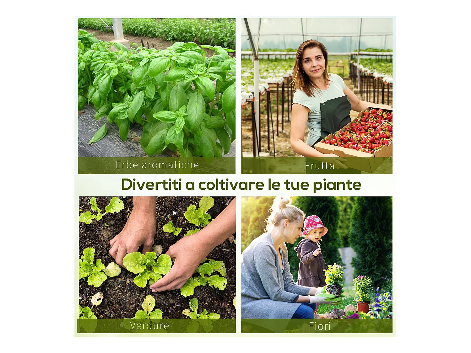 Serra da giardino a tunnel con rivestimento in plastica verde