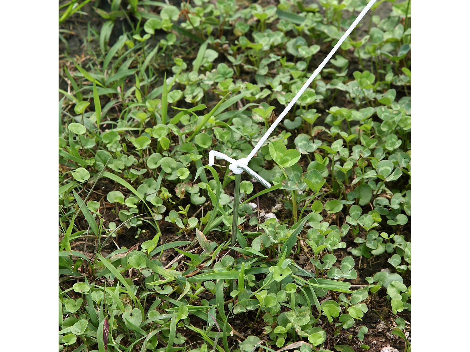 Serra da giardino a tunnel 4x2x2m in metallo e pe bianco