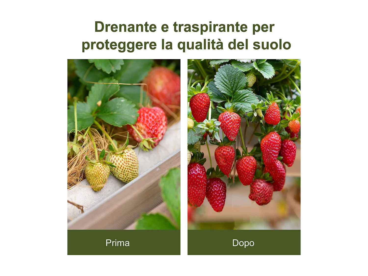 Telo nero pacciamatura 50x2m drenante per orto serra giardino
