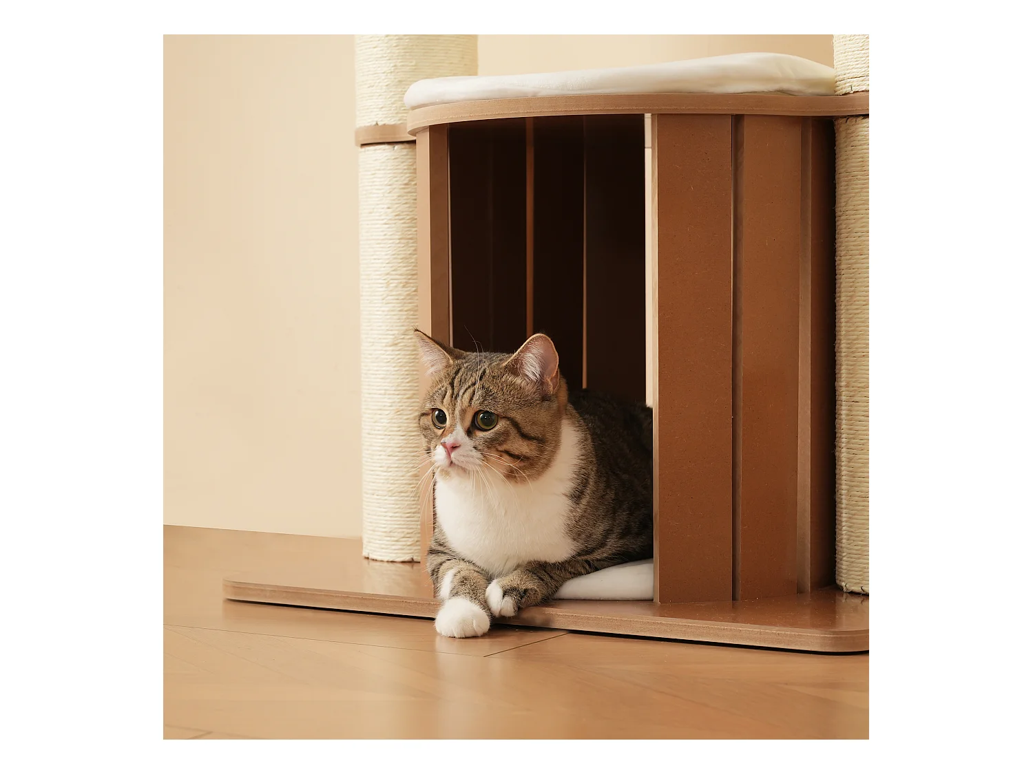 Arbre à chat 135 cm de hauteur - 3 plateformes - 1 maison pour chats - blanc