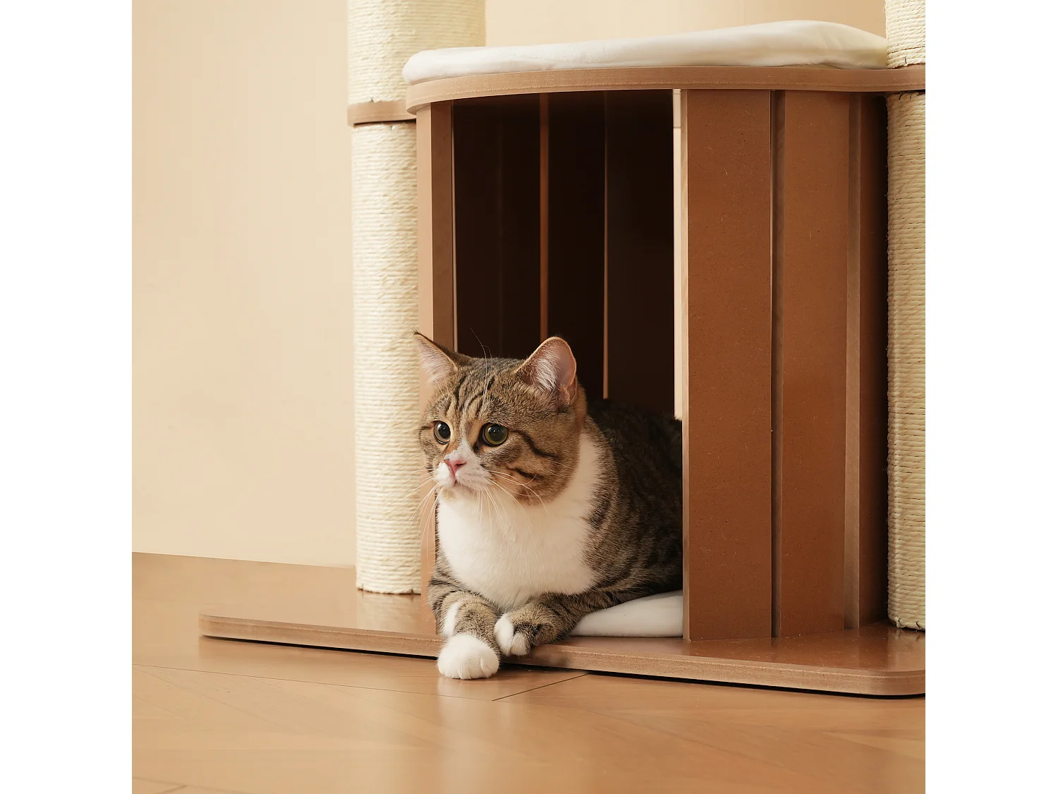 Arbre à chat 135 cm de hauteur - 3 plateformes - 1 maison pour chats - blanc