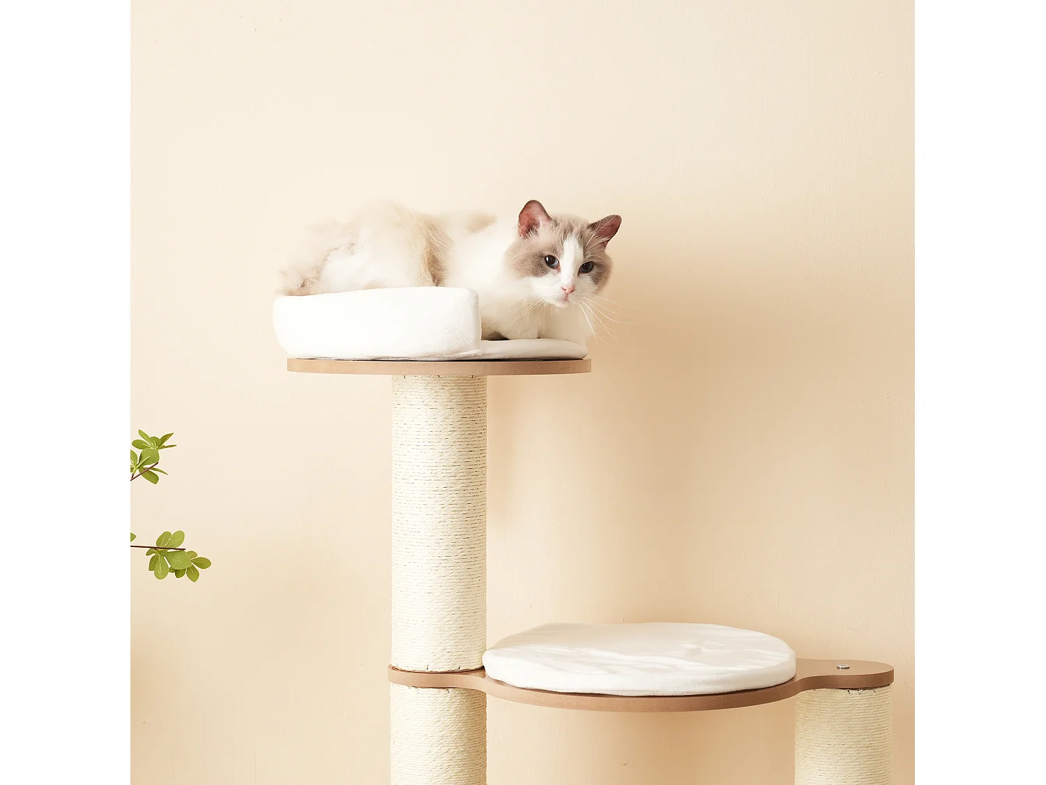 Arbre à chat 135 cm de hauteur - 3 plateformes - 1 maison pour chats - blanc