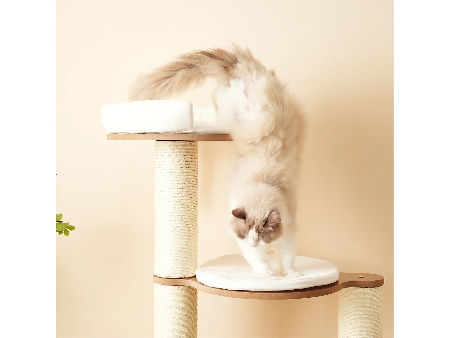 Arbre à chat 135 cm de hauteur - 3 plateformes - 1 maison pour chats - blanc