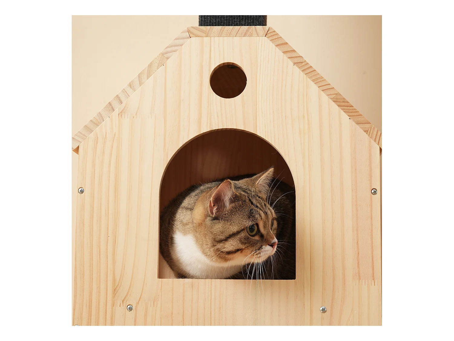 Krabpaal 80×40×152 cm - met 4 platforms - 2 kattenhuizen - kattenrol - krabplank voor katten - naturel