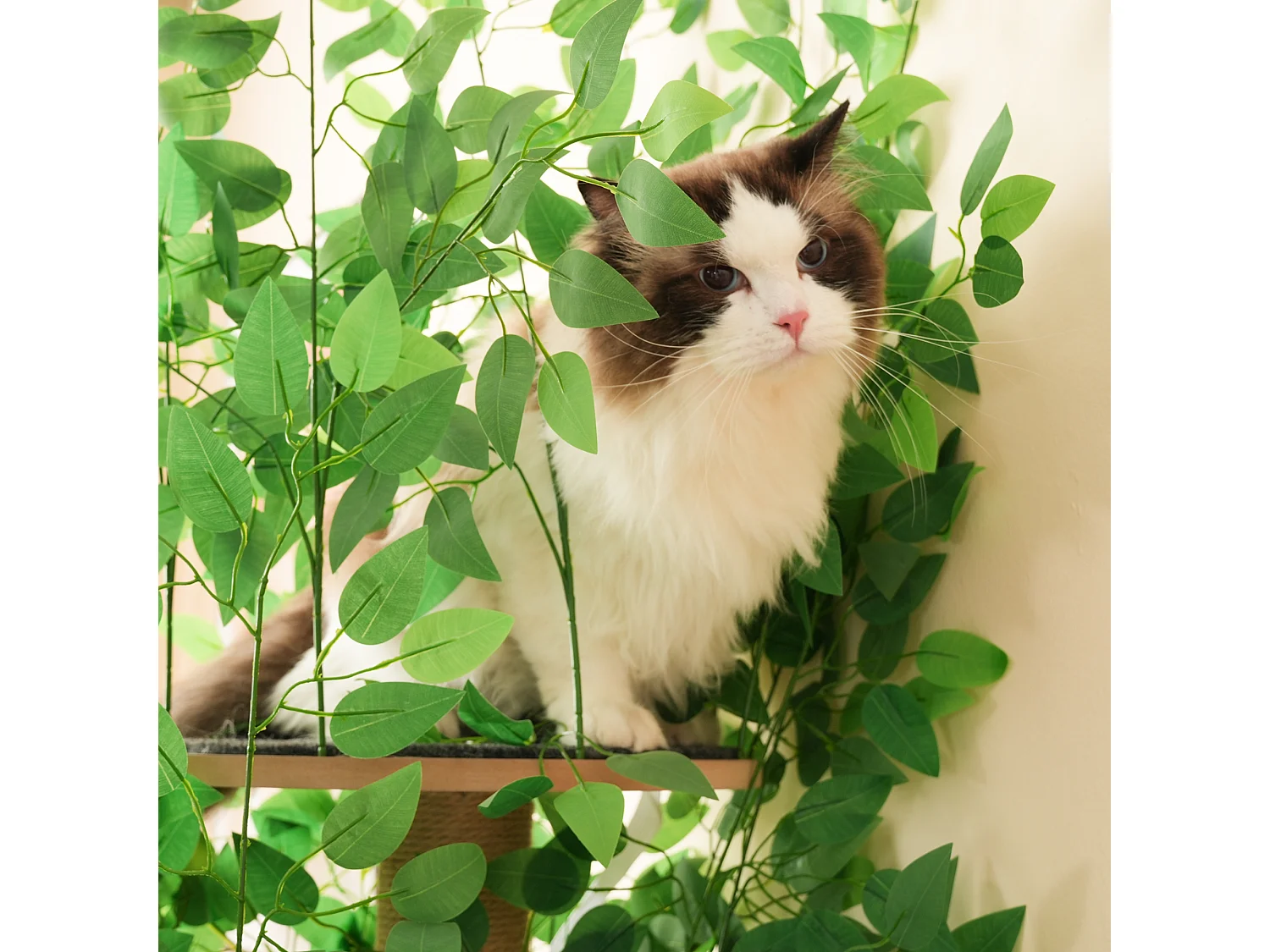 Arranhador para gatos de 190 cm de altura - com 4 plataformas e 1 buraco para gatos - lâminas removíveis - verde