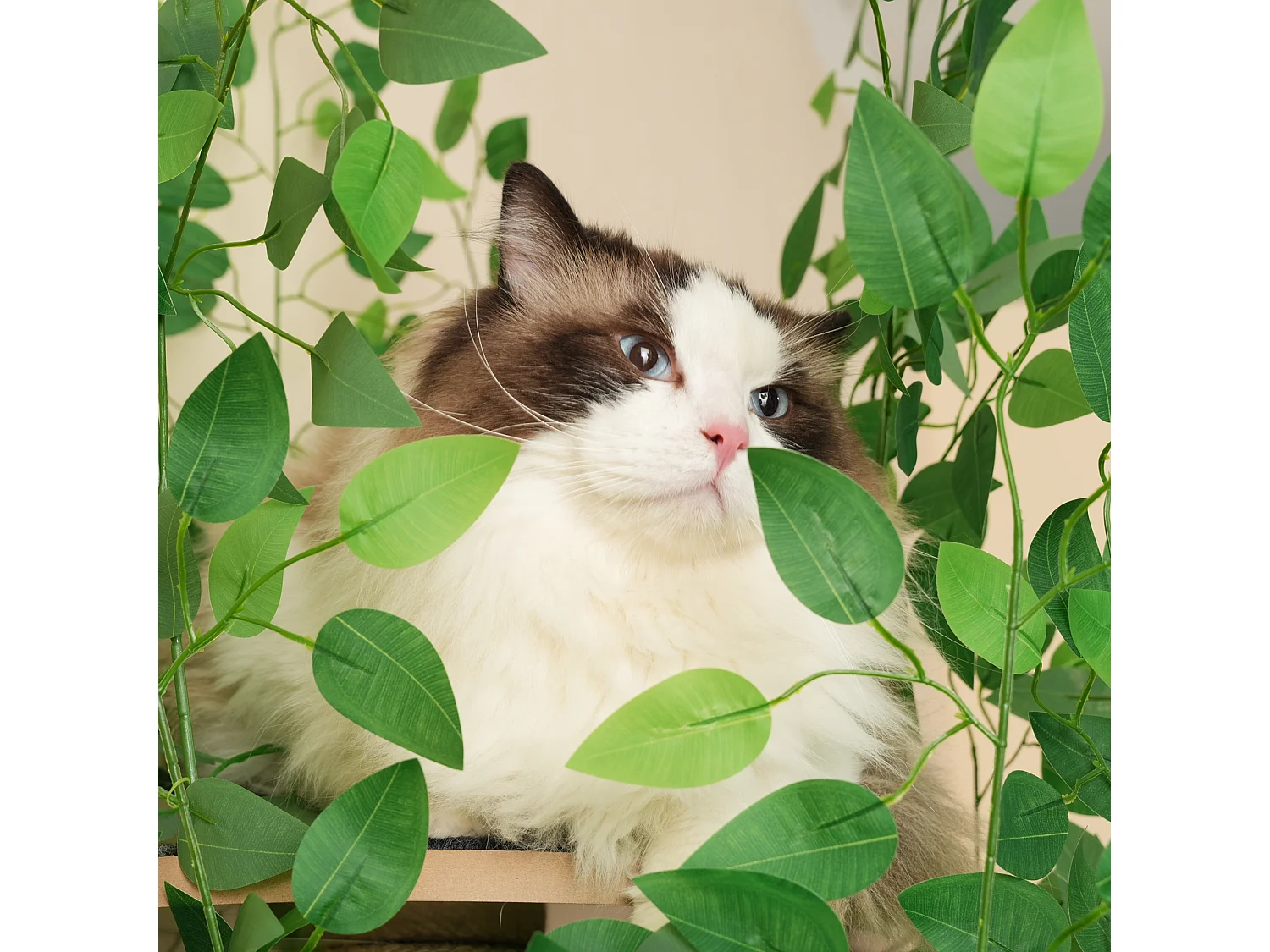 Arranhador para gatos de 190 cm de altura - com 4 plataformas e 1 buraco para gatos - lâminas removíveis - verde