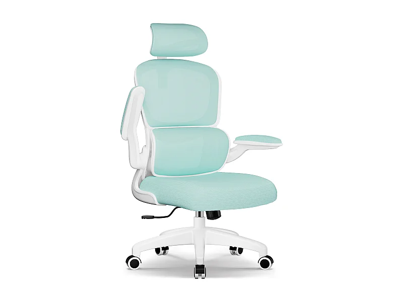 Bürostuhl - Ergonomisch Bürostuhl - Verstellbarer Kopfstütze - Klappbare Armlehnen - Lendenwirbelstütze - Höhenverstellbarer - maximaler Neigung von 135° - 150 kg