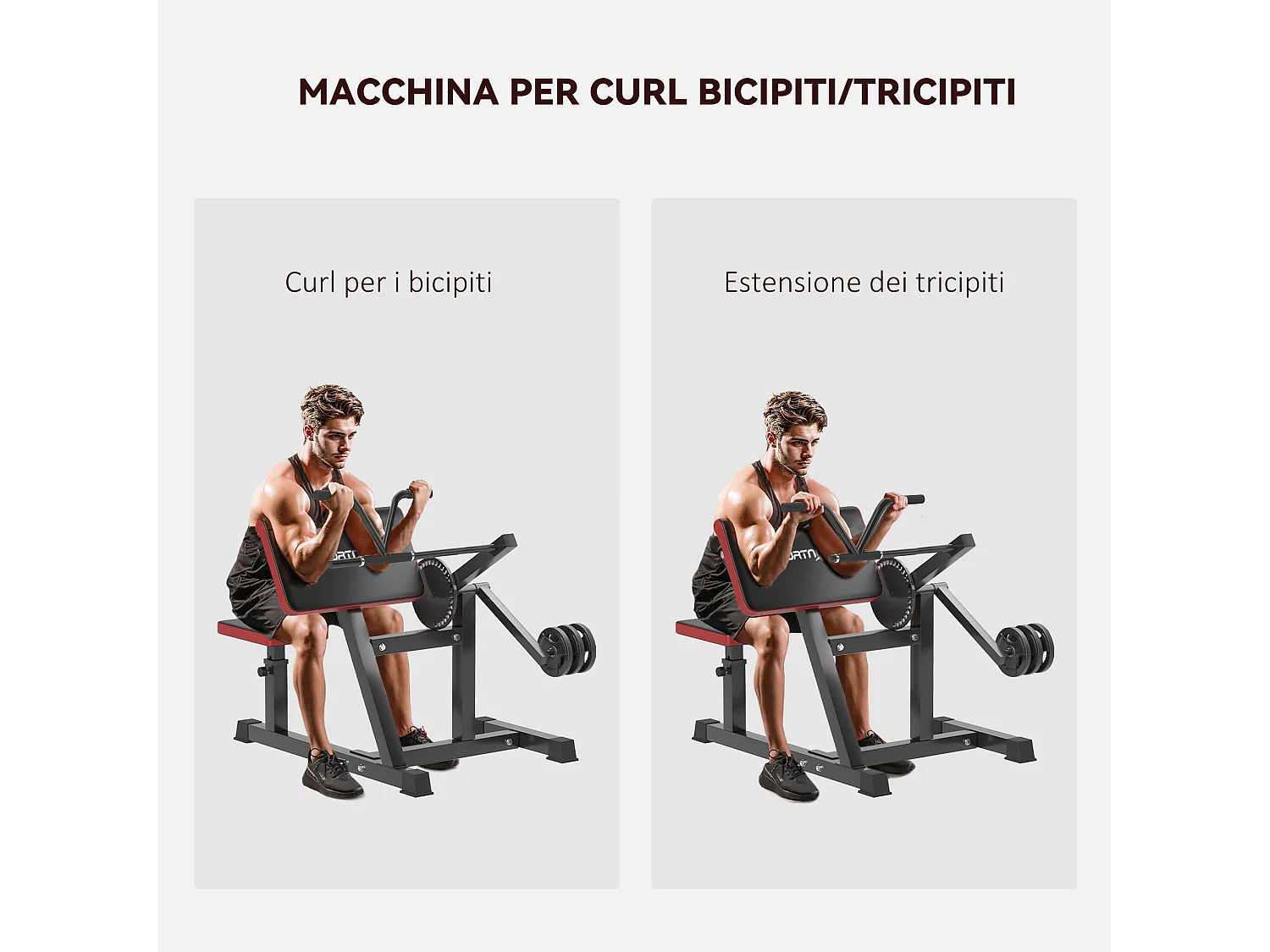 Panca romana 2 in 1 per curl e tricipiti con 25 regolazioni, nero