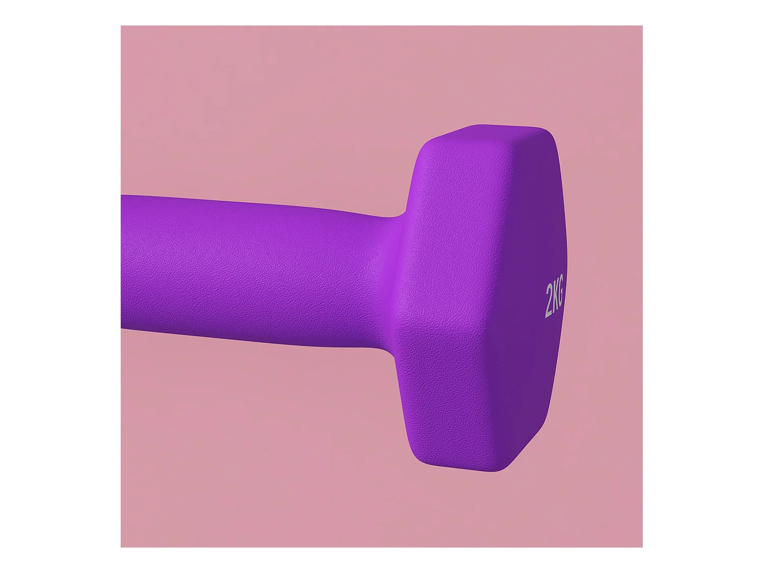 Set 2 manubri da 2x2 kg in metallo e plastica 16x7.5x7.5 cm viola