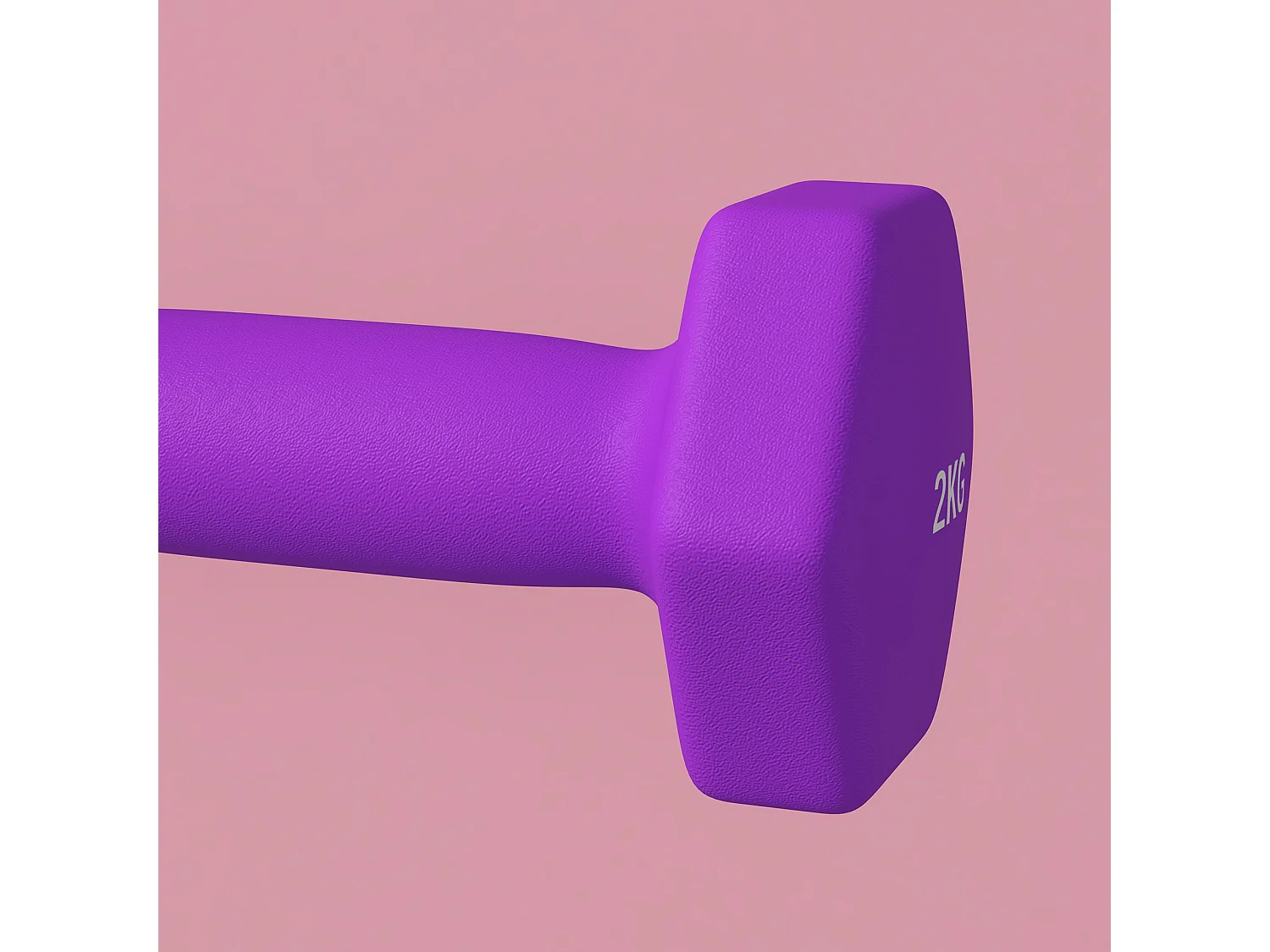 Set 2 manubri da 2x2 kg in metallo e plastica 16x7.5x7.5 cm viola