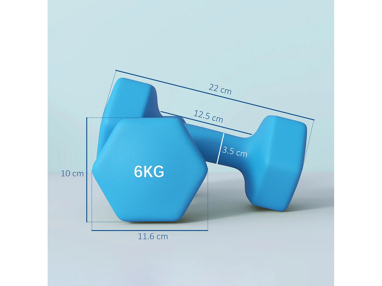 Set 2 manubri esagonali da 6kg in metallo e plastica 22x10x10cm azzurro