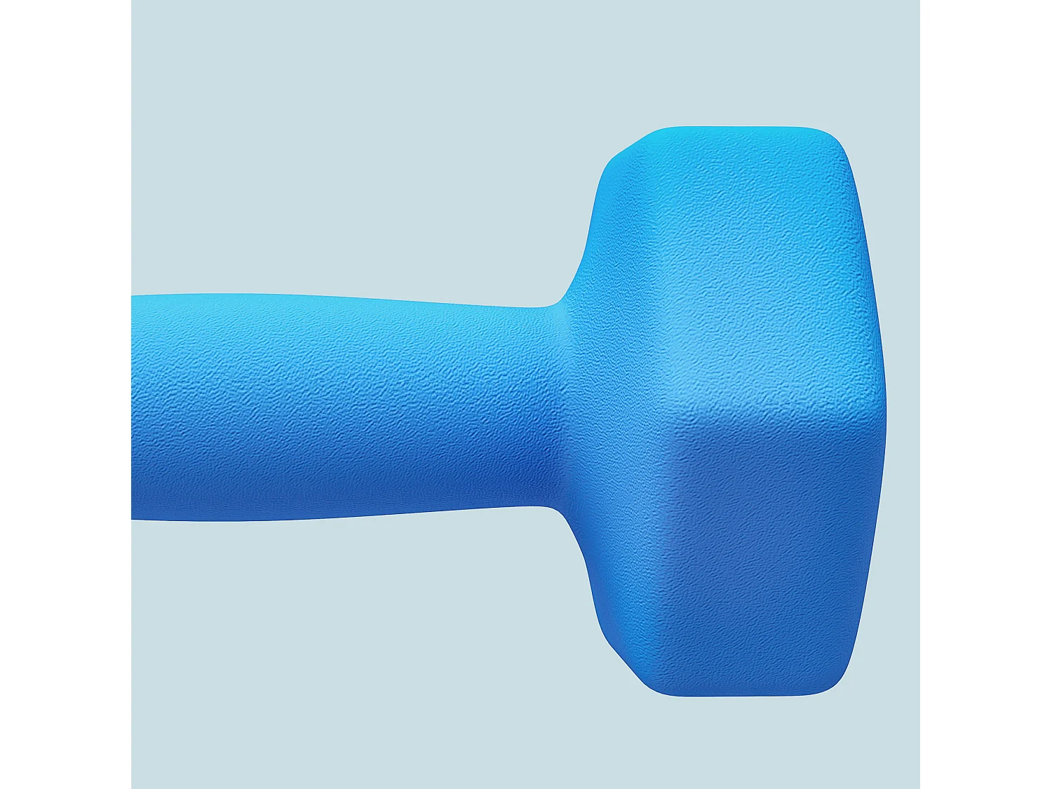 Set 2 manubri esagonali da 6kg in metallo e plastica 22x10x10cm azzurro