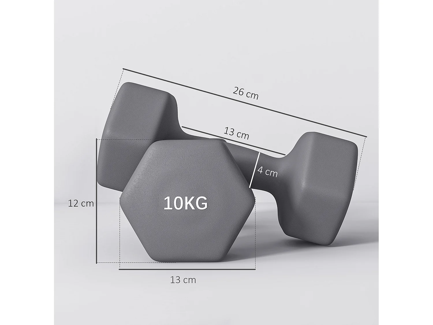 Set 2 manubri esagonali 10 kg in metallo e plastica 26x12x12 cm grigio