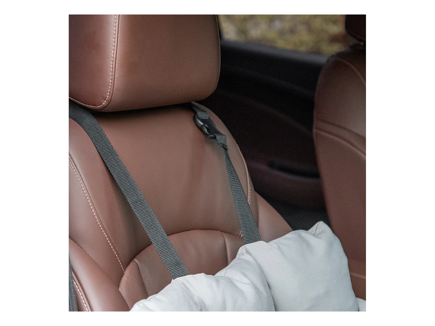 Seggiolino auto per cani piccoli sfoderabile con cinghie di sicurezza