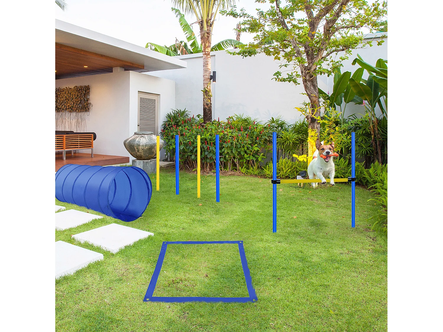 Set agility dog per addestramento cani con slalom, tunnel e ostacolo
