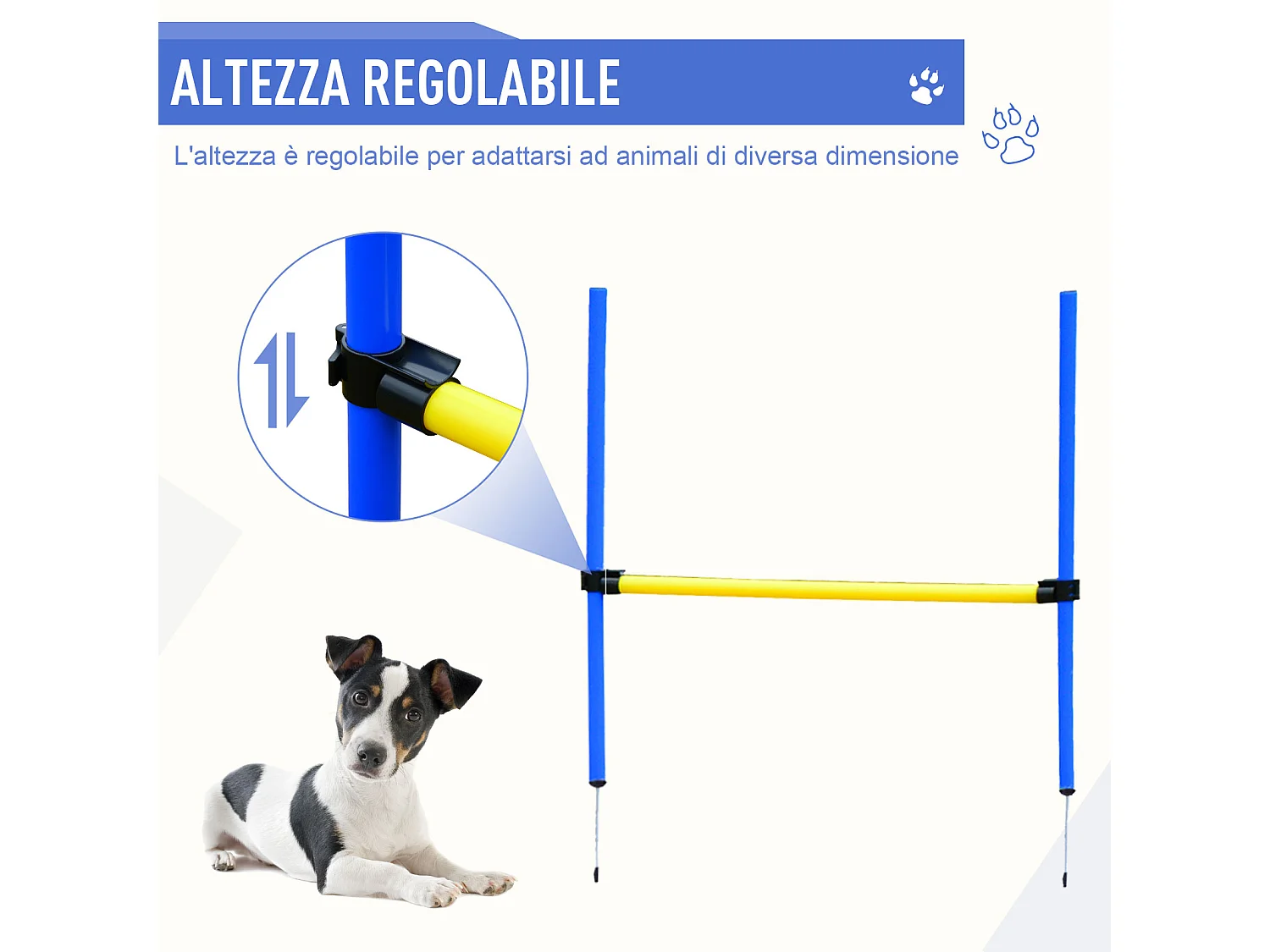 Set agility dog per addestramento cani con slalom, tunnel e ostacolo