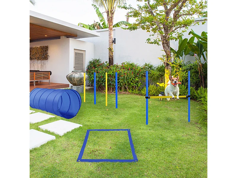 Set agility dog per addestramento cani con slalom, tunnel e ostacolo