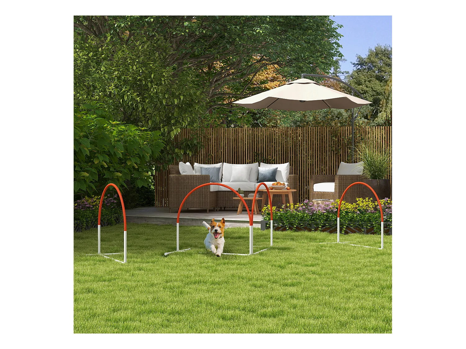 Set agility dog 4pz con 4 picchetti e borsa da trasporto bianco arancione