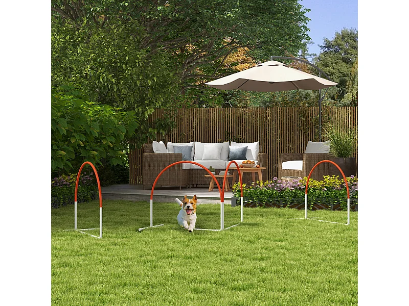 Set agility dog 4pz con 4 picchetti e borsa da trasporto bianco arancione