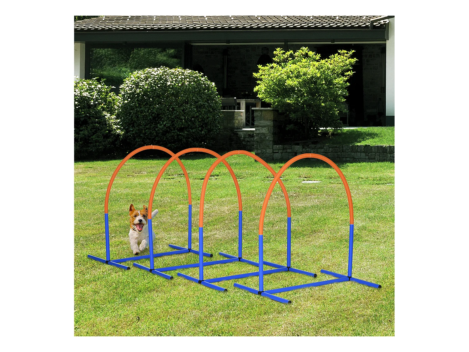 Set agility dog con 4 archi e borsa da trasporto blu e arancione