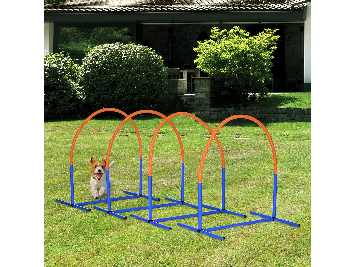 Set agility dog con 4 archi e borsa da trasporto blu e arancione