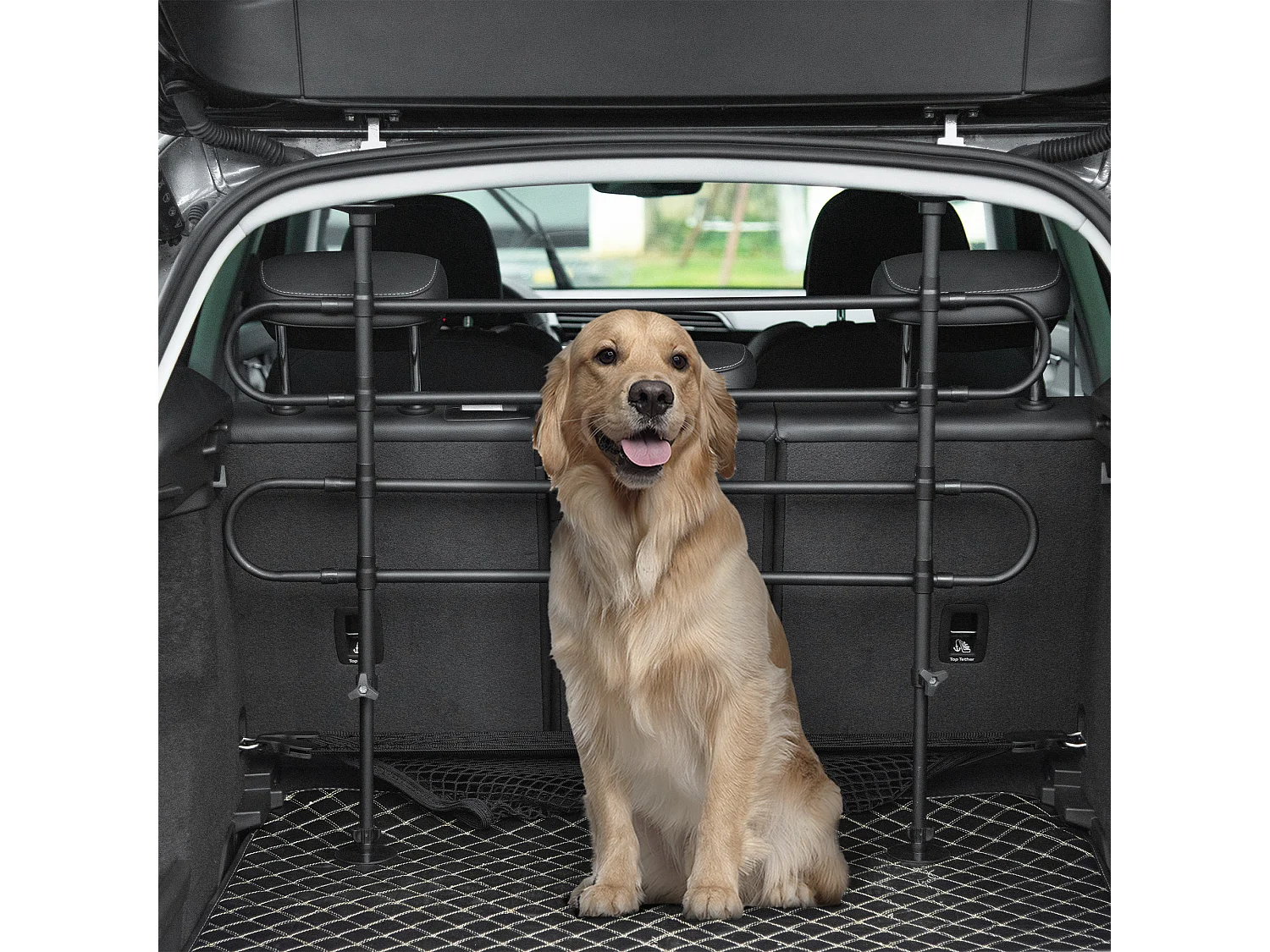 Divisorio auto per animali griglia di protezione regolabile universale