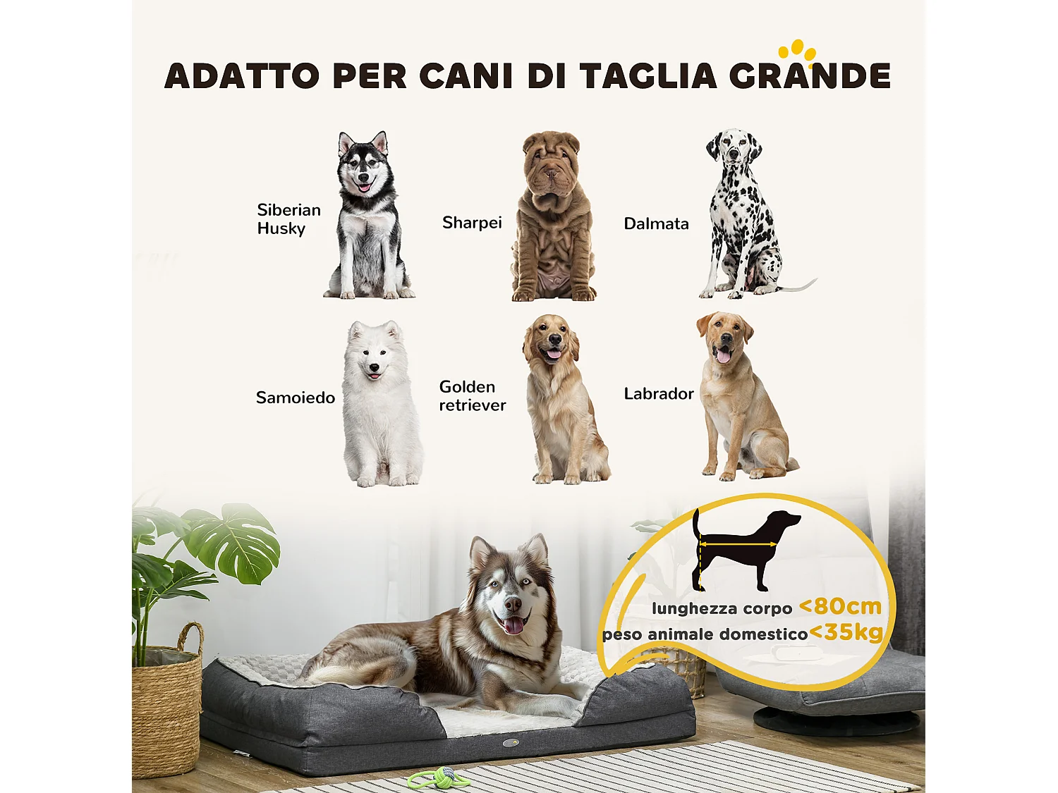 Letto per cani taglia grande imbottito con cuscino rimovibile grigio