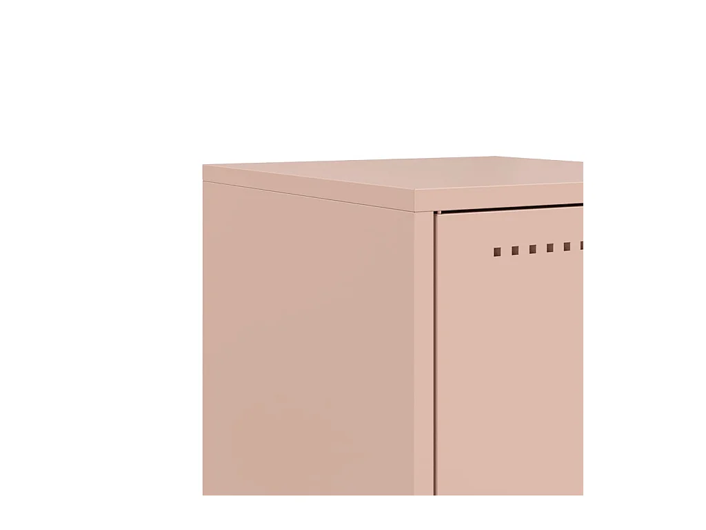 Isle of Hope  Tables de chevet 2 pcs rose 36x39x78 cm acier