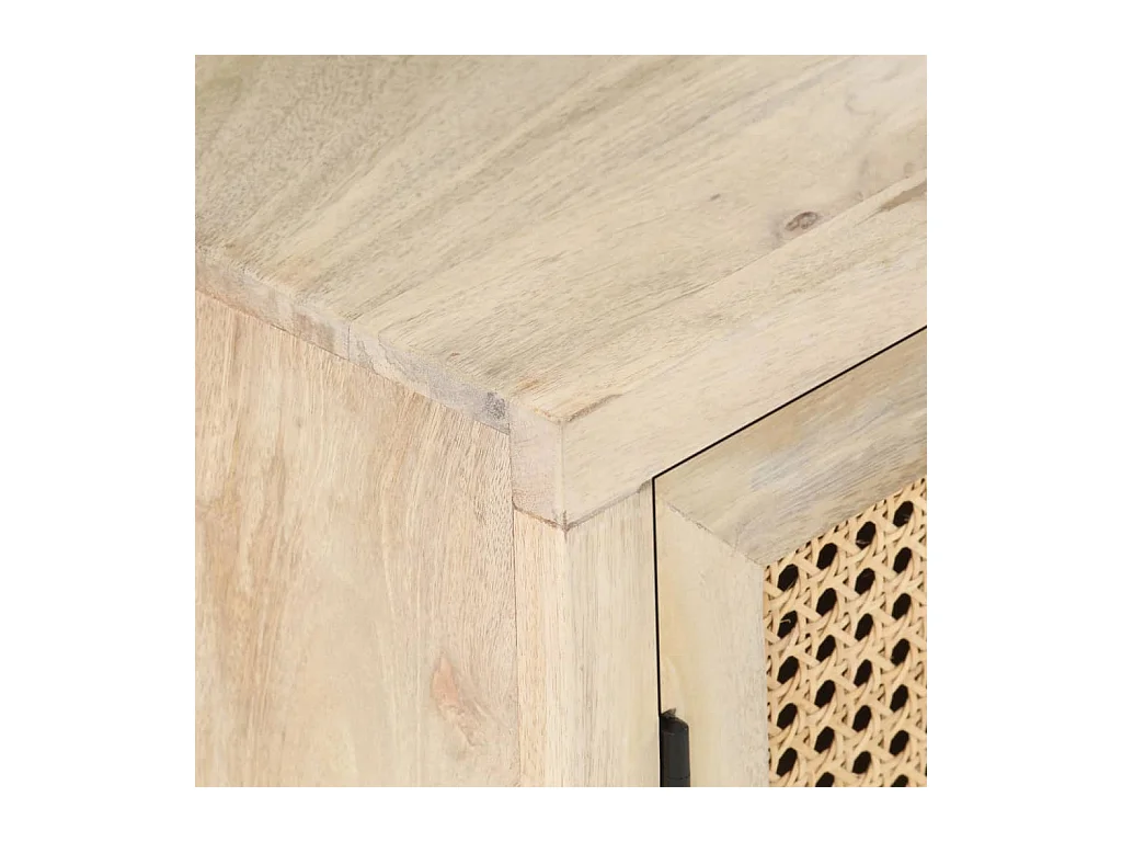 Garden Furniture -  Table de chevet 40x30x50 cm Bois de manguier et canne lle