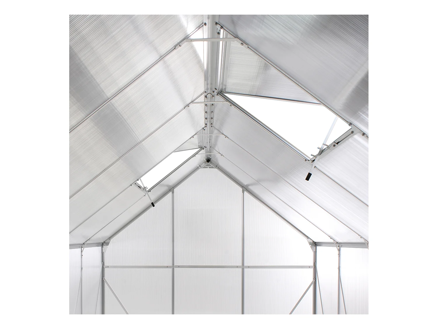 Serre de jardin APULIA Argenté 315 cm