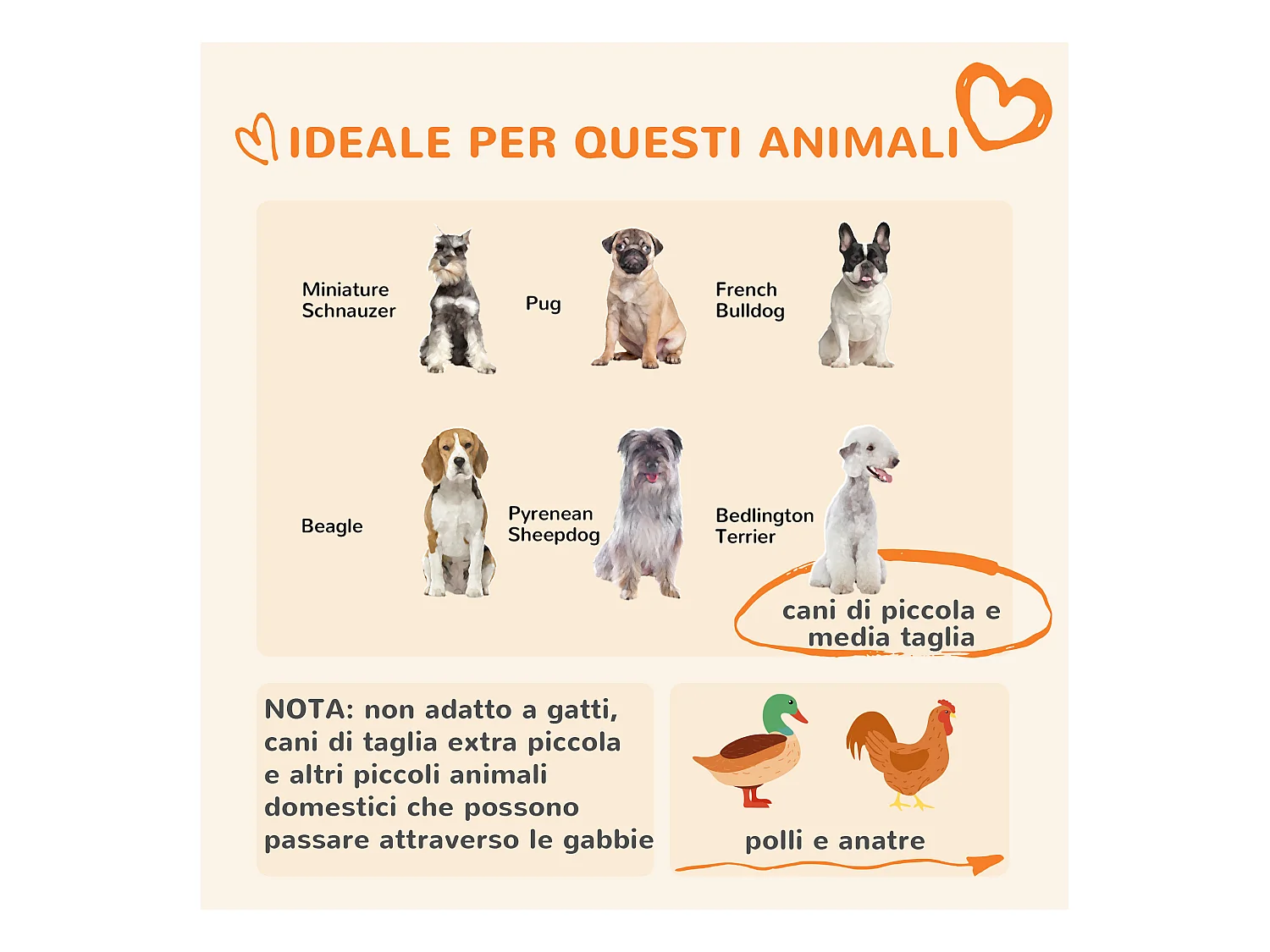 Kennel per cani taglia piccola e media con tettuccio 122x122x138cm