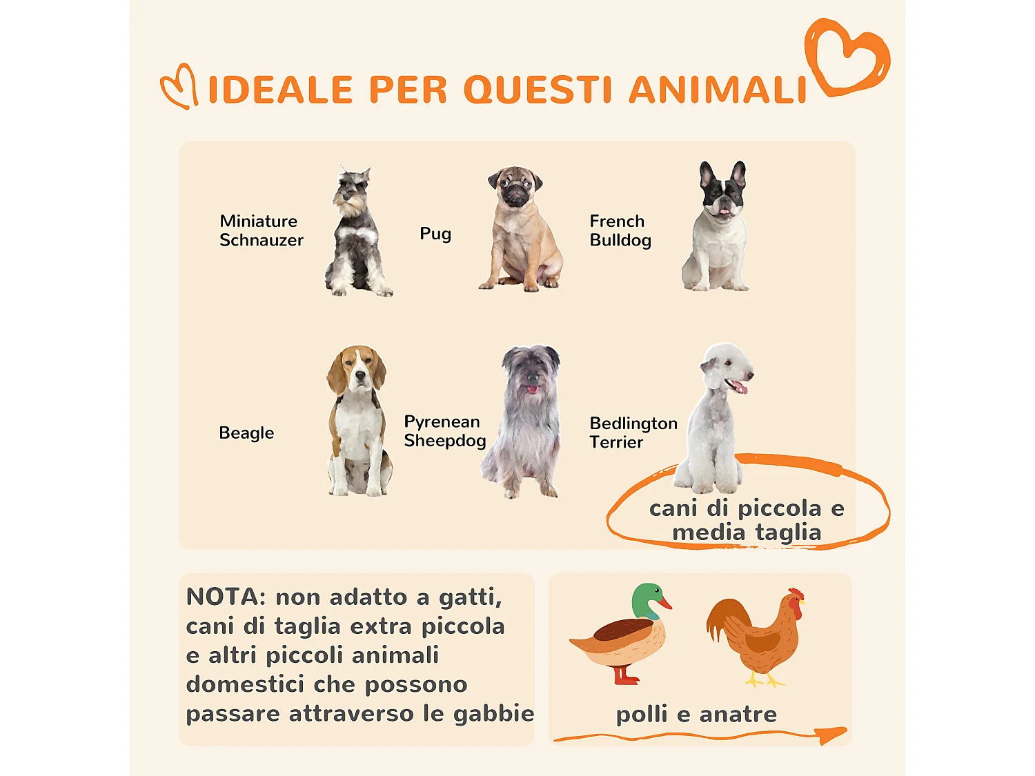 Kennel per cani taglia piccola e media con tettuccio 122x122x138cm