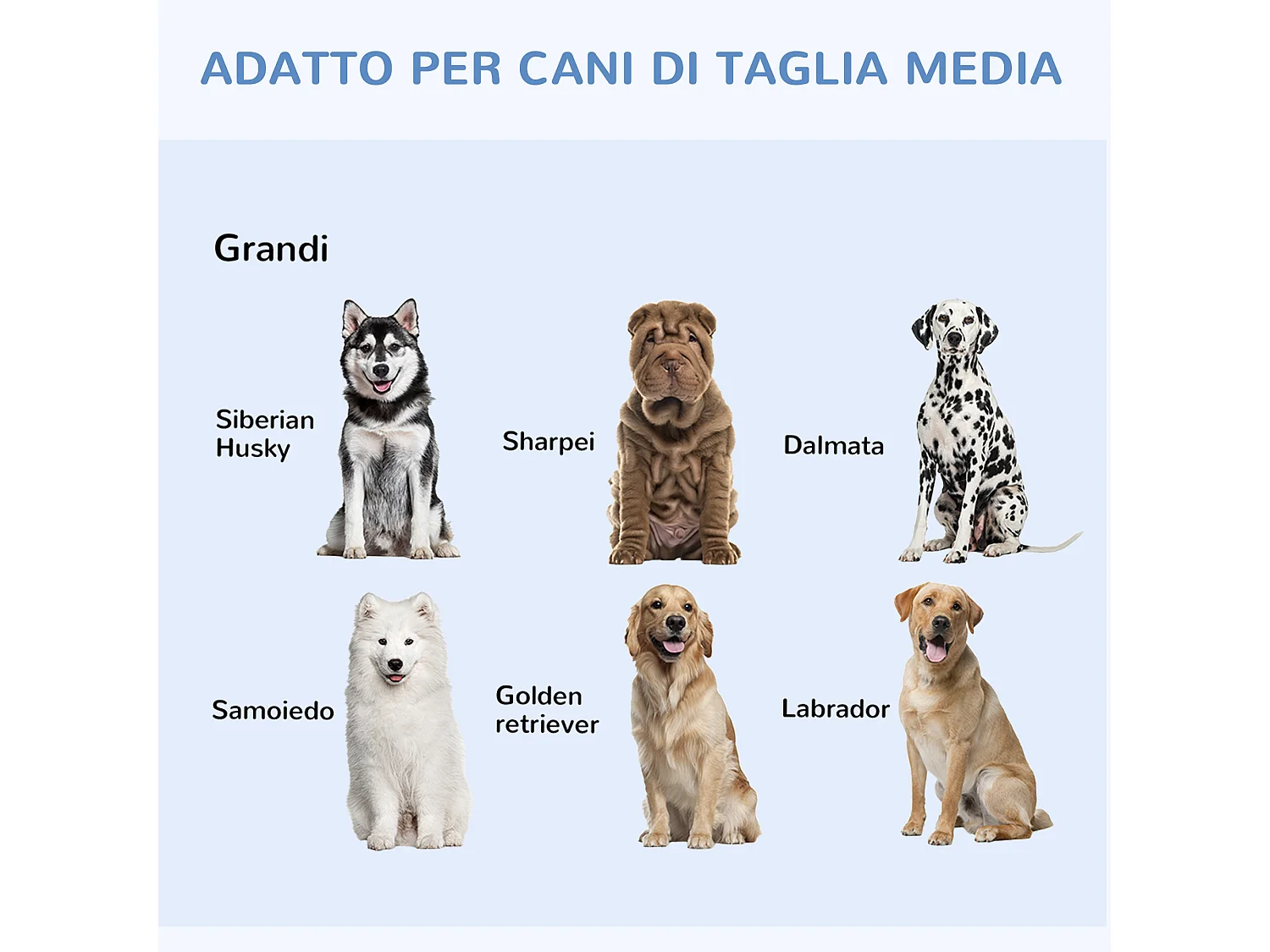 Gabbia per cani e gatti kennel pieghevole con 2 porte e maniglia nero