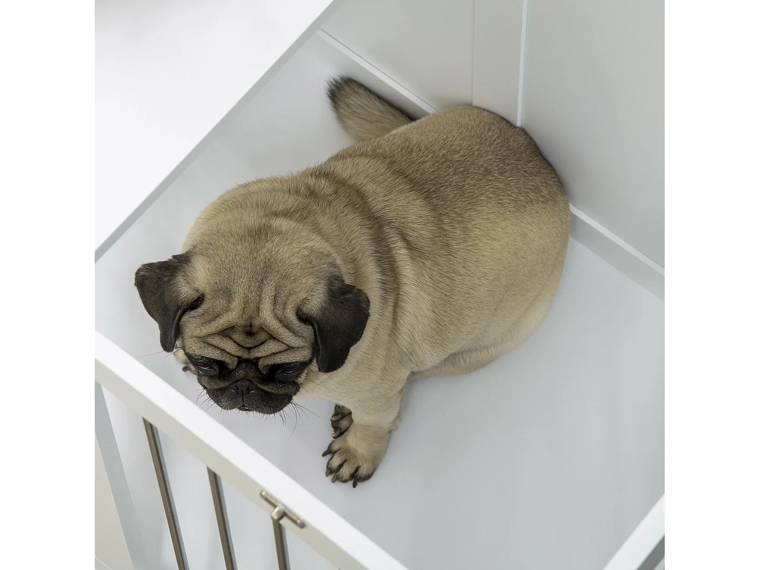 Casetta per cani taglia media con 2 porte bloccabili acciaio e mdf bianco