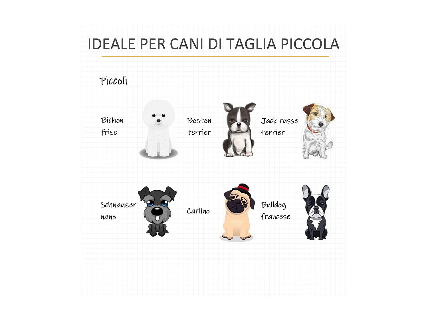 Casetta per cani piccoli da interno con cuscino rimovibile e lavabile