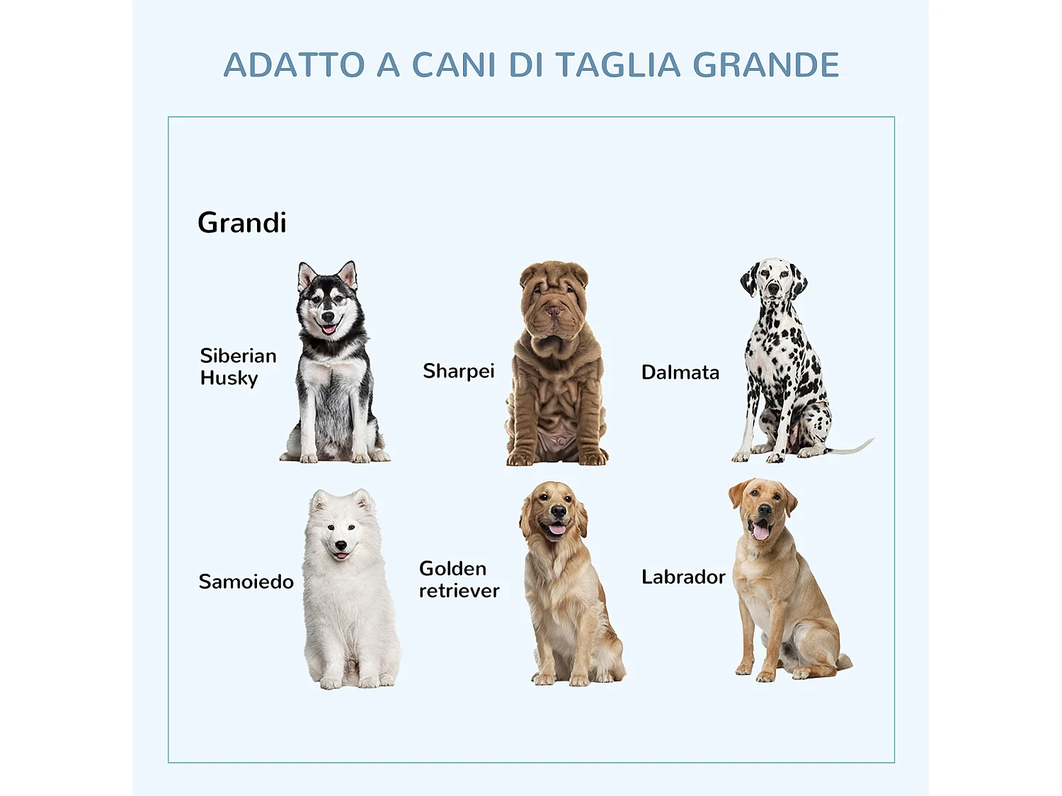 Gabbia box per cani e cuccioli da interno esterno con ruote