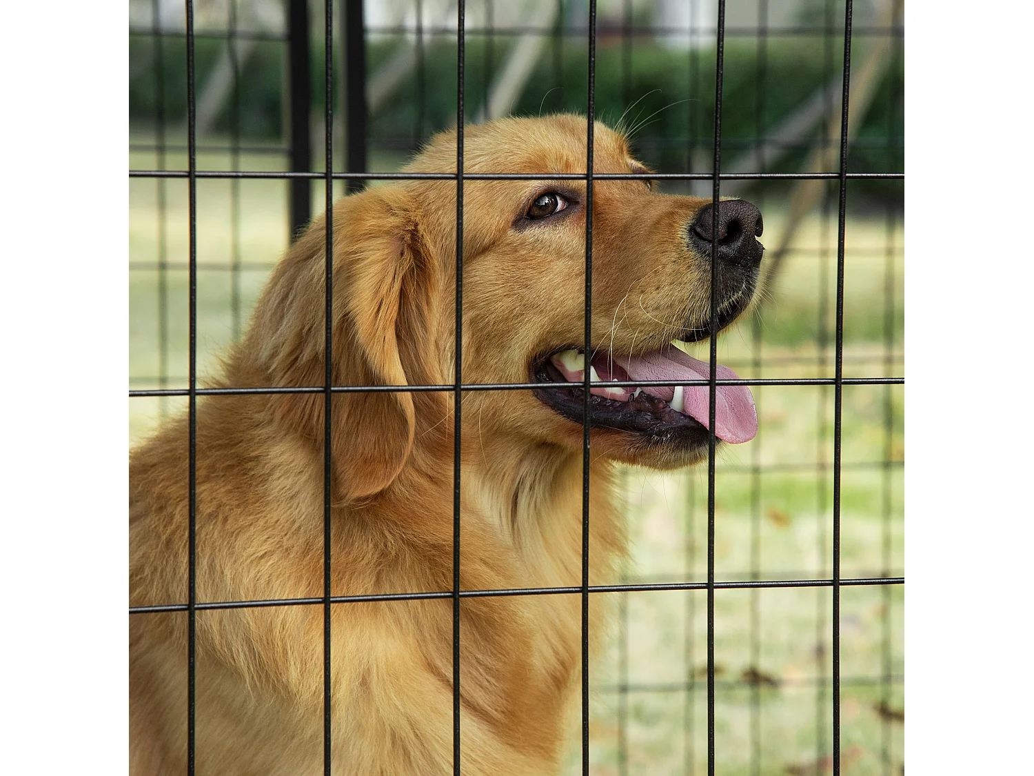 Recinto per cani pieghevole con copertura 8 pannelli e porta bloccabile