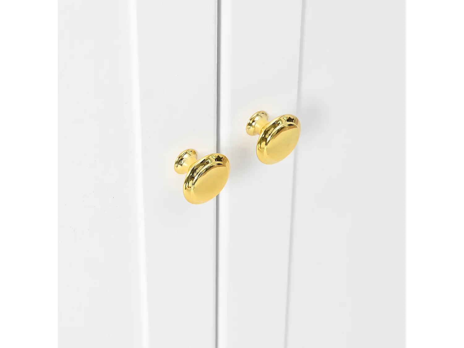 Witte schoenenkast met 2 deuren en verstelbare planken, gouden handgrepen - geschikt voor woonkamers en entrees