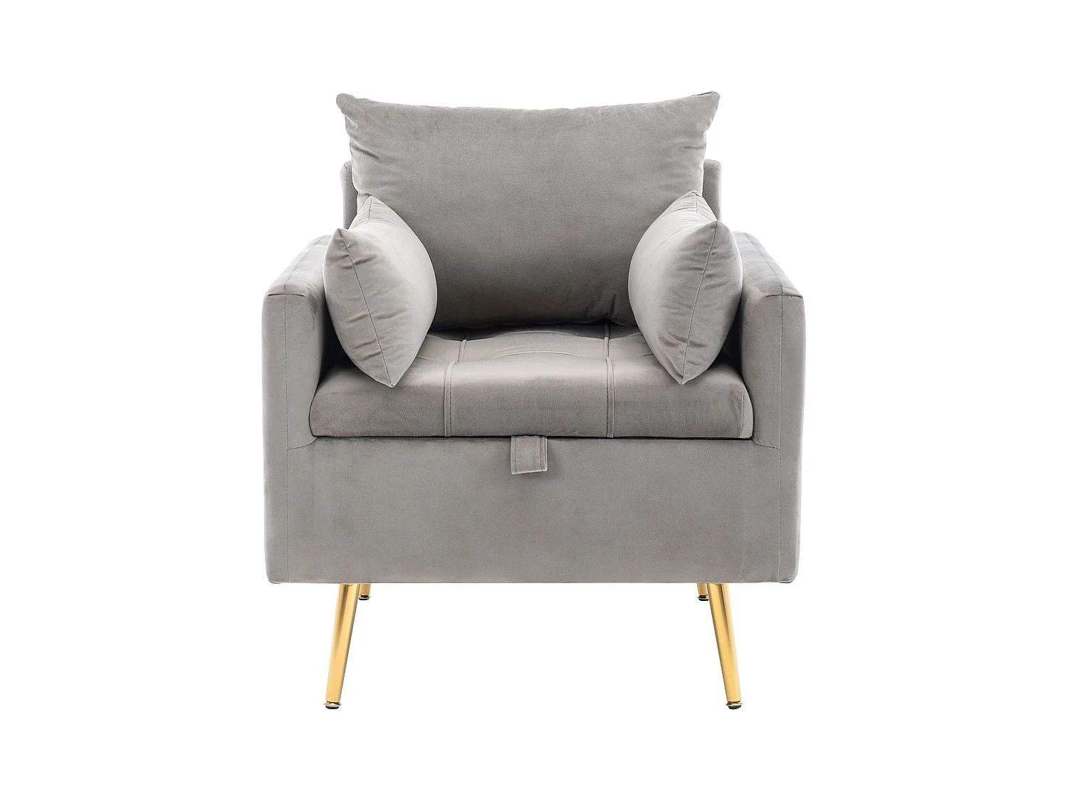 Canapé simple en velours gris avec accoudoirs et rangements, pieds en métal - pour salon et chambre