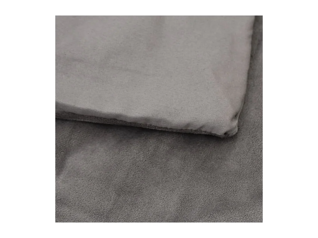 Couverture | Plaid lestée avec housse Gris 200x200 cm 13 kg Tissu