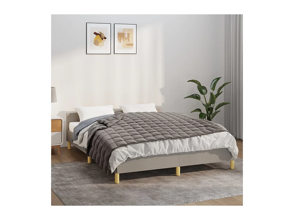 Couverture | Plaid lestée Gris 135x200 cm 6 kg Tissu