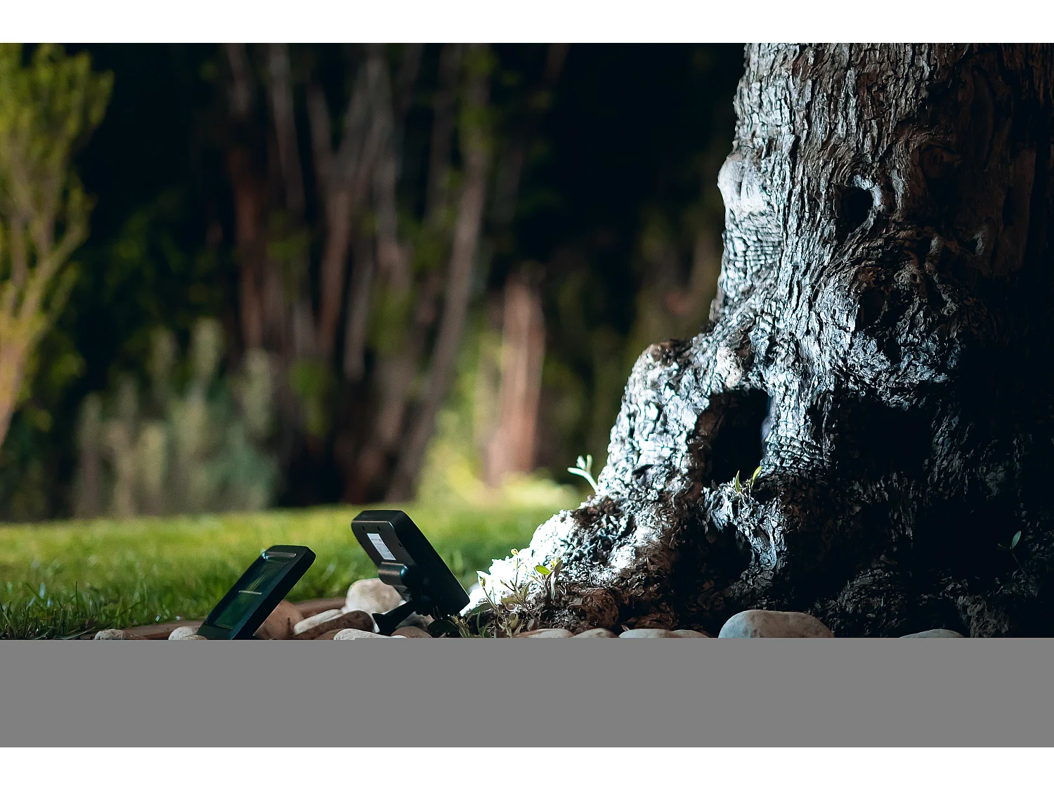 Projecteur solaire EZIlight® Solar moon one